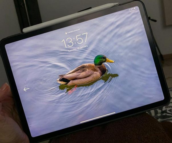 Entsperrcode: iPad mit Displaysperre, die eine Ente auf Wasser zeigt. Bild: Pexels/Dids . (https://www.pexels.com/de-de/foto/vogel-display-bildschirm-zeit-13214249/)