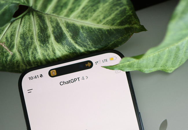 KI-Greenwashing: Herkömmliche KI und generative KI unterscheiden sich. Auf dem Bild zu sehen ist ein Handy, auf dem ChatGPT geöffnet ist. Am oberen Handyrand sind Blätter. Bild: Pexels/ Solen Feyissa https://www.pexels.com/de-de/foto/smartphone-technologie-touchscreen-ai-20870794/