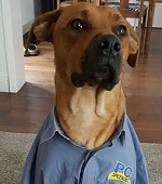 LEO ...